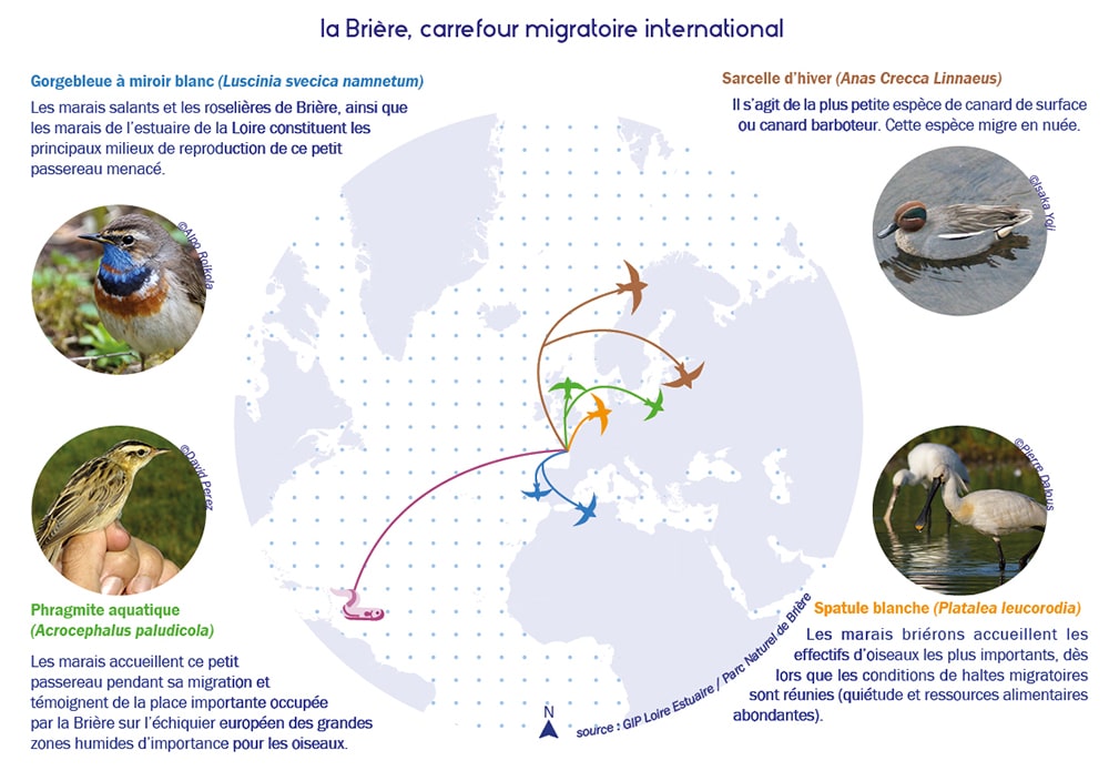 la Briere carrefour migratoire international